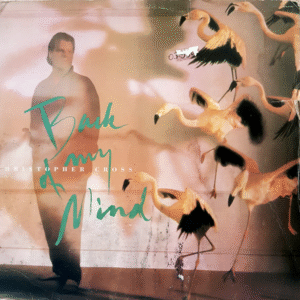 LP Vinil - Christopher Cross - Back my mind