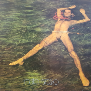 LP Vinil - Ney Matogrosso - Mato Grosso - 1982
